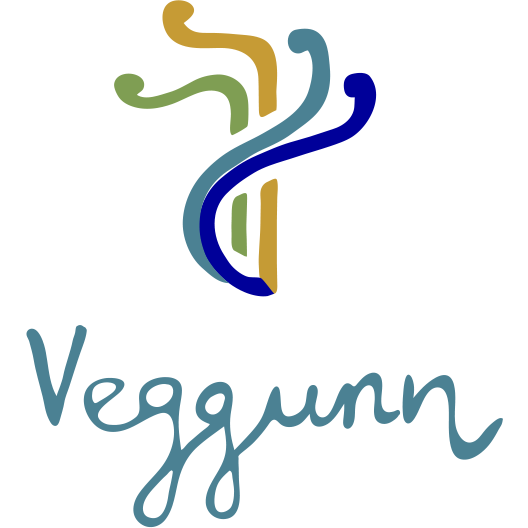 Veggunn